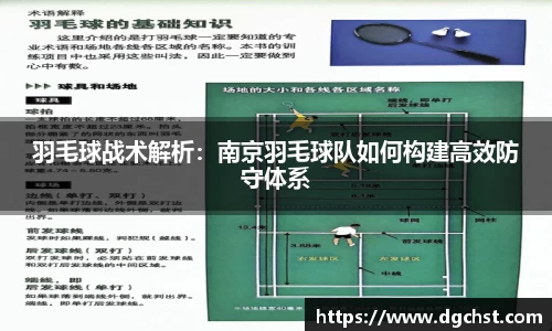 中欧体育APP